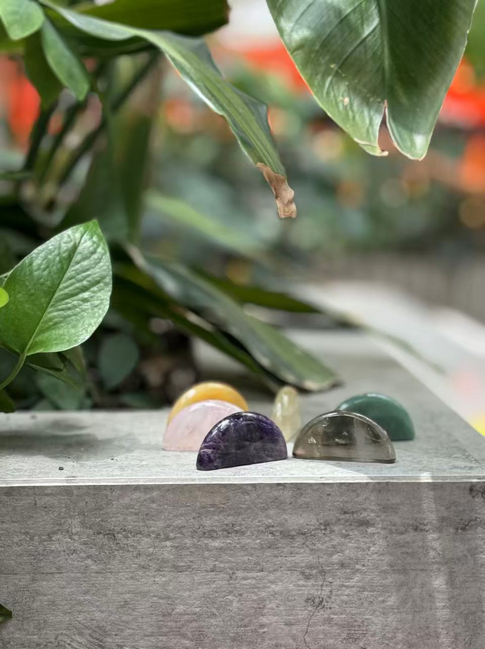Polished chakra stones arranged among green leaves
