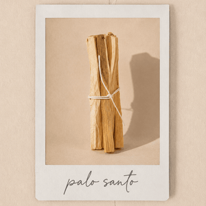 Palo Santo Incense - Orblink