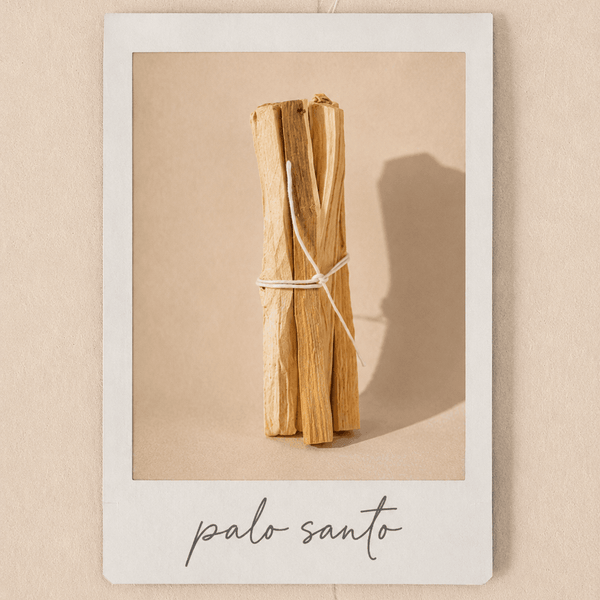 Palo Santo Incense - Orblink