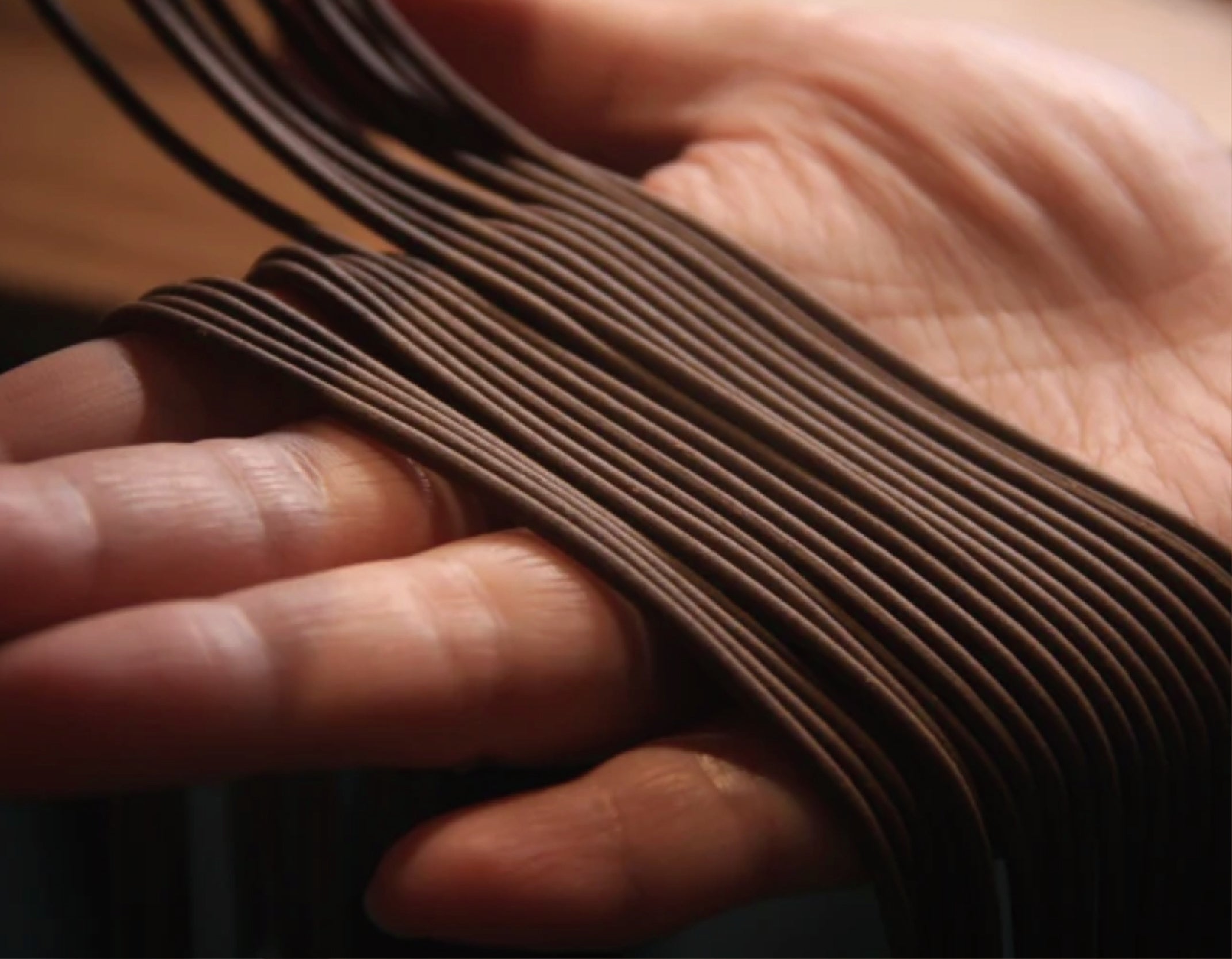 Hand holding a bundle of brown incense sticks