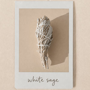 White Sage Incense - Orblink