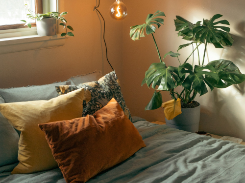 Calm bedroom with pillows, plants, and warm ambient light